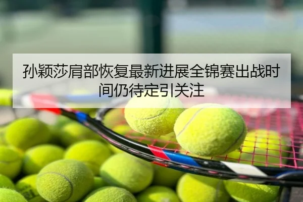 孙颖莎肩部恢复最新进展全锦赛出战时间仍待定引关注